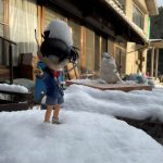 コナン君にも雪が